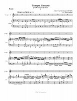 Скриншот к файлу: Trumpet Concerto 1 часть